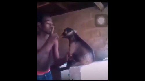 跳蛋恶搞视频,笑料百出，揭秘网络恶搞新潮流